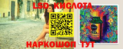 стаф Берёзовский