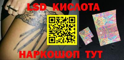 стаф Берёзовский