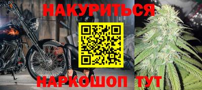 стаф Берёзовский