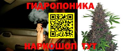 mdma Сланцы