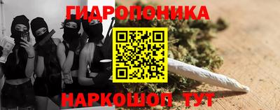 PSILOCYBIN Бийск