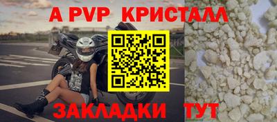 стаф Берёзовский