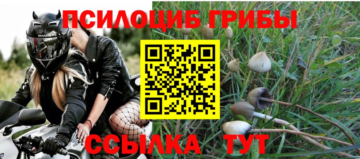 Бийск  Галлюциногенные грибы мицелий  Вход с VPN 