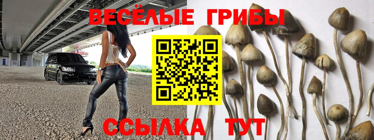 Галлюциногенные грибы Magic Shrooms Бийск